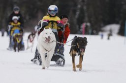 Lenzerheide 2013